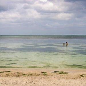 Gentle Shallows