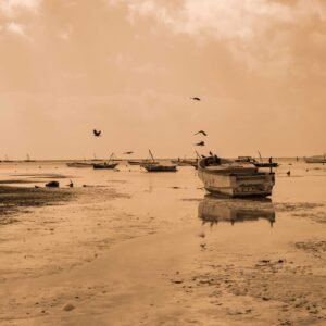 Ebb Tide Stories